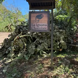 La Iguana Chocolate Factory - Puntarenas