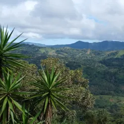La Iguana Chocolate Factory - Puntarenas