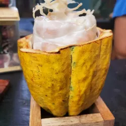 La Iguana Chocolate Factory - Puntarenas