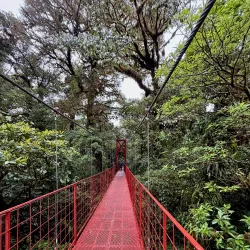 Monteverde Cloud Forest Reserve - Puntarenas