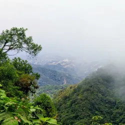 Monteverde Cloud Forest Reserve - Puntarenas