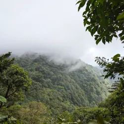 Monteverde Cloud Forest Reserve - Puntarenas