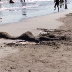 Puntarenas Malecon - Puntarenas