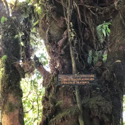 Cerro Cedral National Park - Puriscal