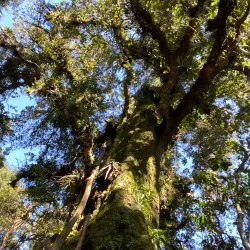 Cerro Cedral National Park - Puriscal