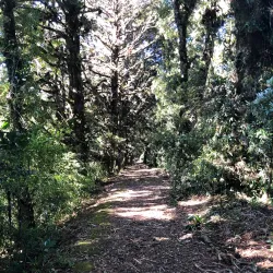 Cerro Cedral National Park - Puriscal