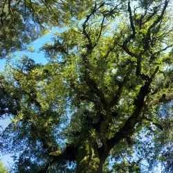 Cerro Cedral National Park - Puriscal