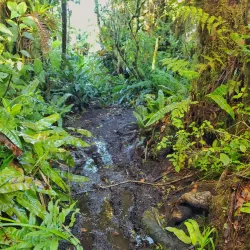 Cerro Cedral National Park - Puriscal