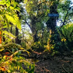 Cerro Cedral National Park - Puriscal