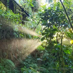 Cerro Cedral National Park - Puriscal