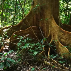 Hiking Trails Around Puriscal - Puriscal