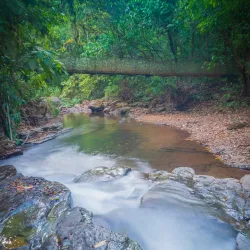 La Cangreja National Park - Puriscal