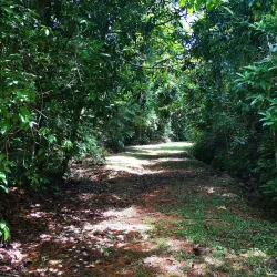 La Cangreja National Park - Puriscal