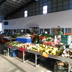 Puriscal Artisan Market - Puriscal