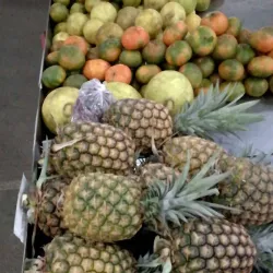 Puriscal Artisan Market - Puriscal