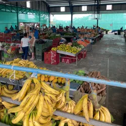 Puriscal Artisan Market - Puriscal