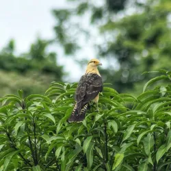 Puriscal Museum - Puriscal