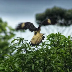 Puriscal Museum - Puriscal