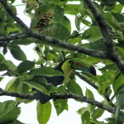 Puriscal Museum - Puriscal