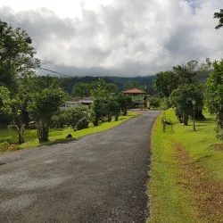 Arenal Hot Springs - Quesada