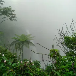 Catarata del Toro - Quesada