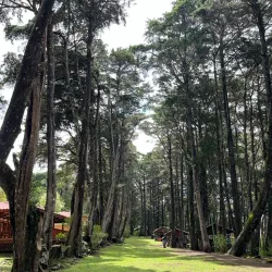 El Castillo Town - Quesada