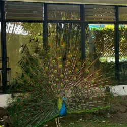 El Castillo Town - Quesada