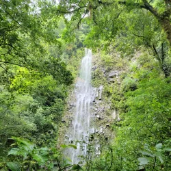 La Fortuna Waterfall - Quesada