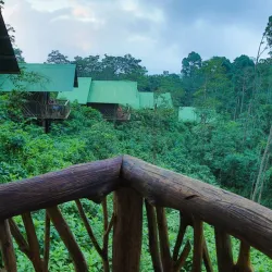 La Tigra Rainforest Reserve - Quesada