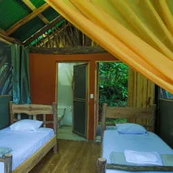 La Tigra Rainforest Reserve - Quesada