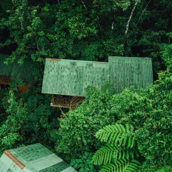 La Tigra Rainforest Reserve - Quesada