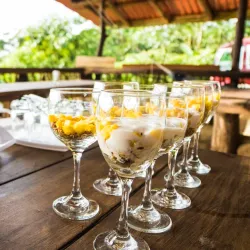 La Tigra Rainforest Reserve - Quesada