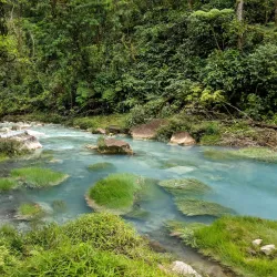 Rio Celeste and Tenorio Volcano National Park - Quesada