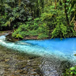 Rio Celeste and Tenorio Volcano National Park - Quesada