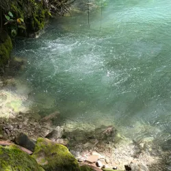 Rio Celeste and Tenorio Volcano National Park - Quesada
