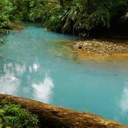 Rio Celeste and Tenorio Volcano National Park - Quesada
