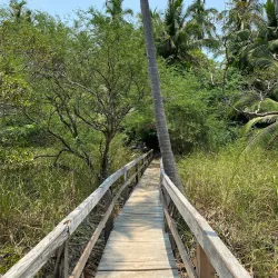 Curu Wildlife Refuge - Samara