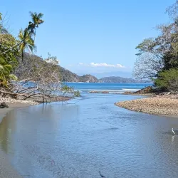 Curu Wildlife Refuge - Samara
