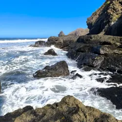 Ostional Wildlife Refuge - Samara