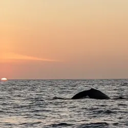 Samara Beach Sunset Viewing - Samara