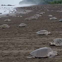 Samara Beach - Samara