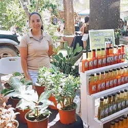 Samara Farmers Market - Samara