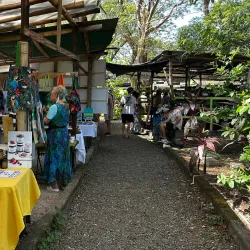 Samara Farmers Market - Samara