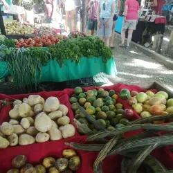 Samara Farmers Market - Samara