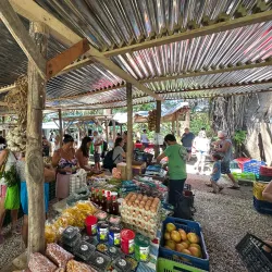 Samara Farmers Market - Samara