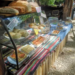 Samara Farmers Market - Samara