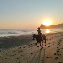 Samara Horseback Riding Tours - Samara