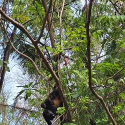 Samara Horseback Riding Tours - Samara