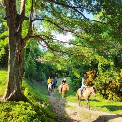 Samara Horseback Riding Tours - Samara