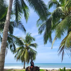 Samara Horseback Riding Tours - Samara